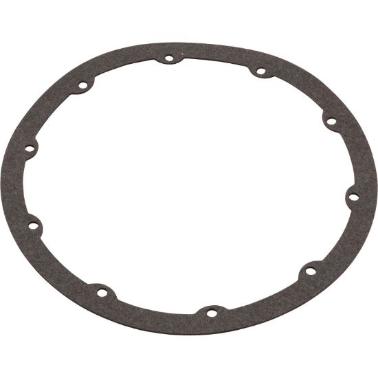 630025 Gasket Pentair QuickNiche