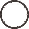 630025 Gasket Pentair QuickNiche