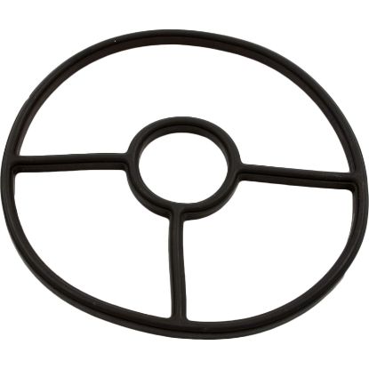 SPX0704D Gasket Hayward SP0704 5-3/16