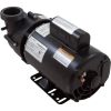 1016012 Pump BWG Vico Ultimax2.0hp230v2-Spd56fr2