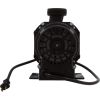 0059F88C Pump Bath BWG Gemini Plus II VS 1.5hp 115v 1-1/2