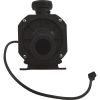 0060F88C Pump Bath BWG Gemini Plus II 1.5hp 115v 1-1/2