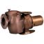 011659 Pump Pentair C Series CHK-100 W/ Trap 10hp 3ph Bronze