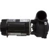 3420410-13 Pump WW Exec 1.0SPL 115v 2-Spd 48fr 2-1/2