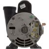 3420410-13 Pump WW Exec 1.0SPL 115v 2-Spd 48fr 2-1/2
