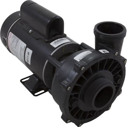3420620-1AHZW Pump WW Exec 1.5SPL Century 230v 2-Spd 48fr 2