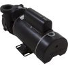 3420610-10HZW Pump WW Hi-Flo 1.5hp Century 115v 2-Spd 48fr 2