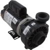 3420410-10HZN Pump WW Hi-Flo 1.0SPL US Motor 115v 2-Spd 48fr 2