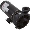 3410830-10HZW Pump WW Hi-Flo 2.0hp Century Conv 1-Spd 48fr 2