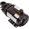 5235208-S Pump BWG Vico Ultimax2.0hp230v2-Spd56fr2
