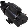1014253HZN Pump BWG Vico Ultima 1.0SPL USMtr115v 2-Spd 48fr1-1/2