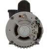  Pump Aqua Flo XP2e 4.0hp US Motor 230v 1-Spd 56fr 2
