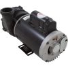  Pump Aqua Flo XP2e 4.0hp US Motor 230v 1-Spd 56fr 2