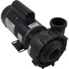 06115000-1040HZW Pump Aqua Flo XP2e 1.5hp Century 115v 2-Spd 48fr 2