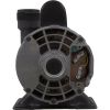 02093000-2010HZW Pump Circ Gecko AquaFlo CMHP1/15hp Century 115v 1-1/2"