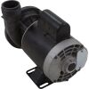 02093000-2010HZW Pump Circ Gecko AquaFlo CMHP1/15hp Century 115v 1-1/2"