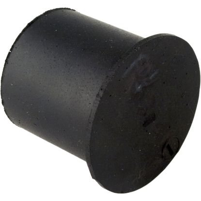 PS20-12 Check Valve Pentair Sta-Rite Submersible