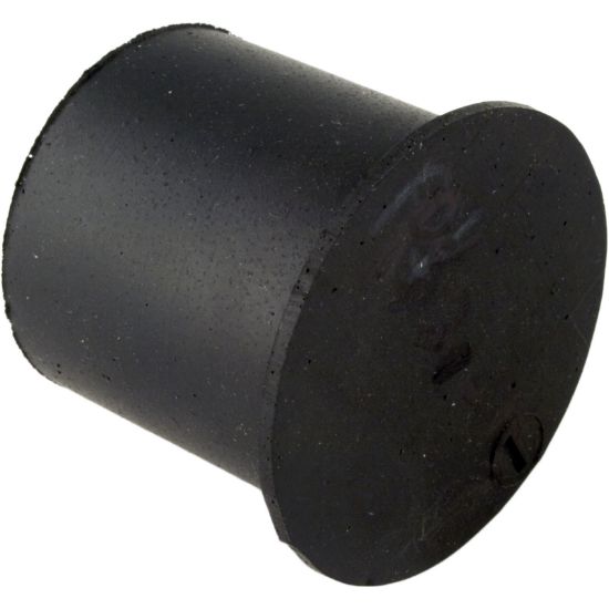 PS20-12 Check Valve Pentair Sta-Rite Submersible