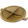 C3-78DZZ Trap Lid Pentair Sta-Rite CF6
