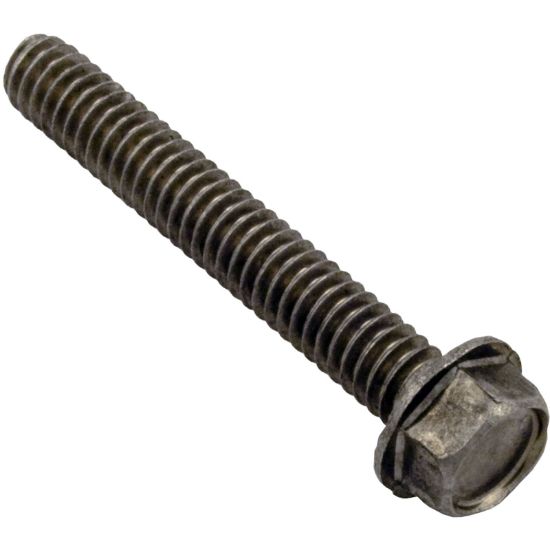 U30-873SS Screw Pentair Sta-Rite 1/4-20 x 1-3/4