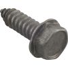 U30-918SS Screw Pentair Sta-Rite 5/16-14 x 1