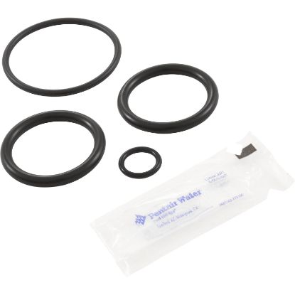 273109 O-Ring Kit Pentair Non-Corrosive Slide