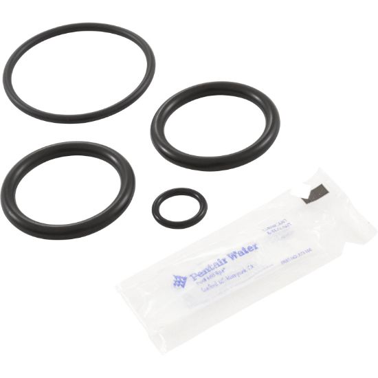 273109 O-Ring Kit Pentair Non-Corrosive Slide