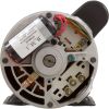 7-193229-01 Motor Century 2.0hp 230v 2-Spd 48Fr Thru Bolt Special
