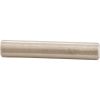 350060 Dowel PinPentair EQ Series5/16 in. x 1-3/4 in.ss