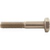 350035 ScrewPent EQ500/750/1000DiffuserHex1/4" -20 x 1-1/2"ss