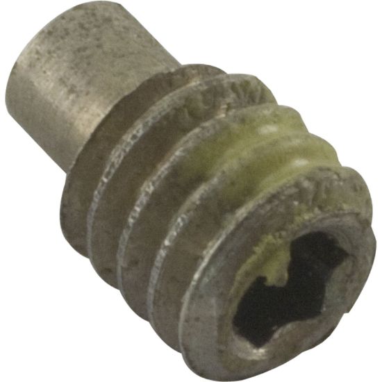 354256 Screw Pentair PacFab Hydro 1/4-20 x 3/8