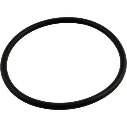 352602 O-Ring Pentair PacFab Hydro 590 Trap Lid O-428