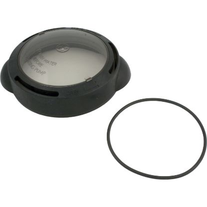 SPX5500D Trap Lid Hayward Matrix with O-Ring