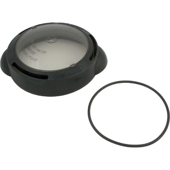 SPX5500D Trap Lid Hayward Matrix with O-Ring