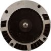 SPX1610Z1BNS Motor Hayward NortStar SP4000 1.0hp 1-Spd Full Rated