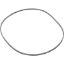 928024 Square Ring Little Giant Base 5 MSP/5-ASP-FS