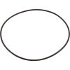 4405020139 O-Ring Astral Astramax Pump Suction Cover