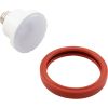 LPL-S3-RGBW-120 ,Replament Bulb ColorSplash LED Spa Lamp ,RGBW 120v pool light bulb 
