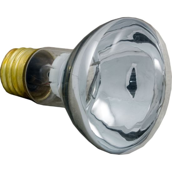79108100 Bulb Pentair American Products 12v 100w