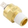 42001-0063S Hi-Limit SwitchPentair Max-E-Therm/MasterTemp1/4" - 18npt