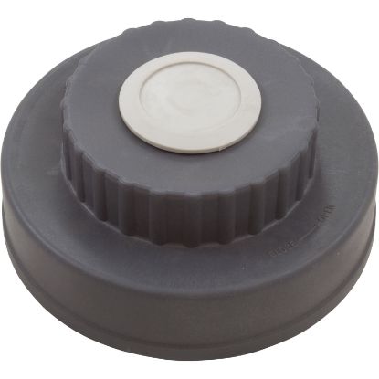 WC64102 Lid Assembly Waterco Chlorinator w/O-Ring