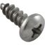 516243 Skimmer Screw Pentair/PacFab Bermuda 8-5
