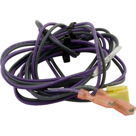 R0457800 Wire Harness Zodiac Jandy Lxi Pressure Switch