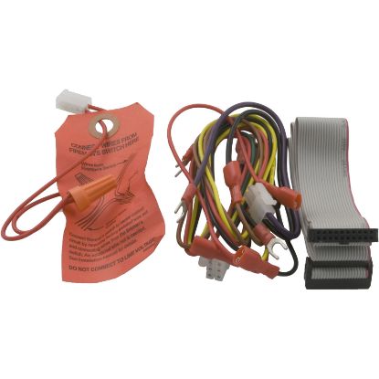 R0366600 Wire Harness Zodiac Jandy Lite2 Temperature Ignition Ctrl