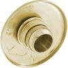 28020-PB Escutcheon BWG/GG Mini Jetw/Dir Eyeball Smth Brass