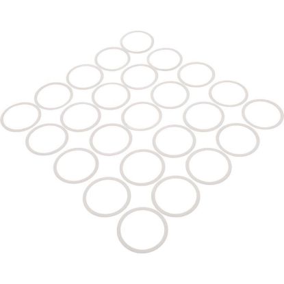 2-9-291 Zodiac Cleaning Head Trblshoot Gasket 25/Pk
