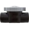 25830-200-000 Serviceable Check Valve (Straight) 2In Sl