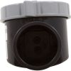 25830-200-000 Serviceable Check Valve (Straight) 2In Sl