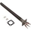 20006010 Coates 240V 15W Element (Includes Gaskets)