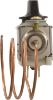 178T24 Freeze Protection Thermostat